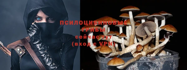 спайс Алексеевка