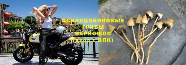винт Алзамай