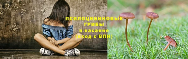 МДПВ Алексин