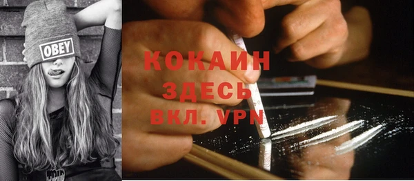 винт Алзамай