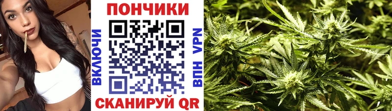 Бошки Шишки SATIVA & INDICA Тобольск